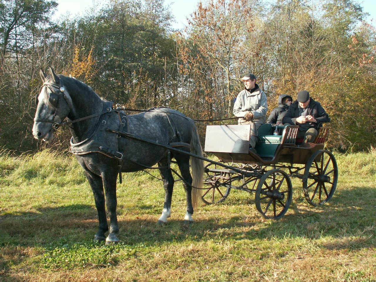 2010_10_30_Huberova jízda JS Kozojedy (222)