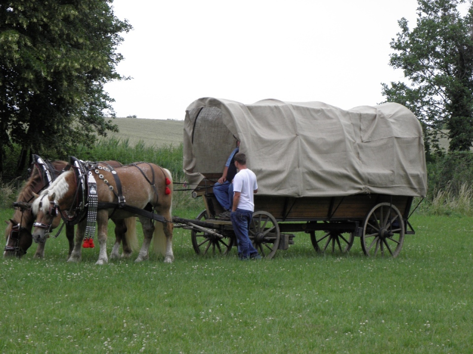 2011_18_06 Kozojedské slavnosti (30)