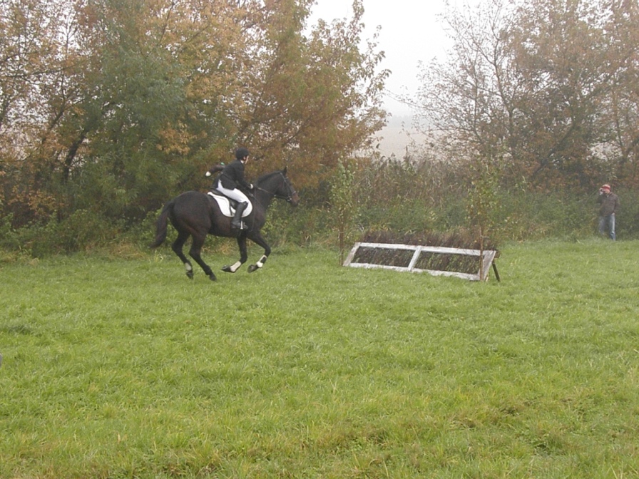 22.10.2011 (144)
