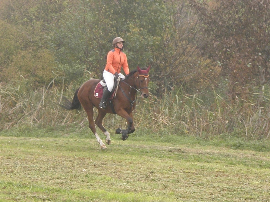 22.10.2011 (220)